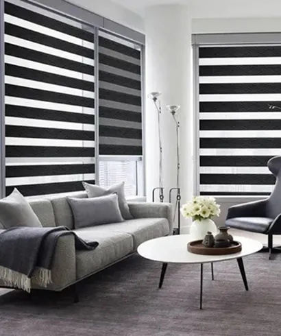 exclusive-zebra-blinds-designs