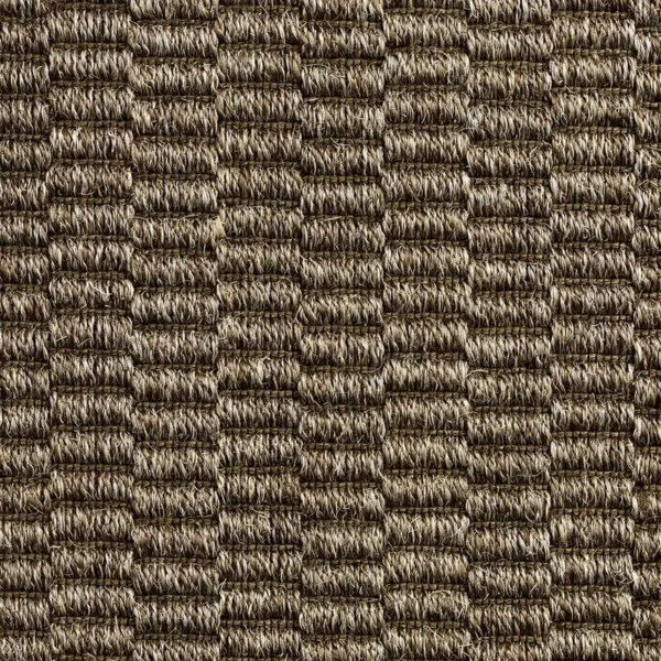 Delmar Sisal Rug - Image 2