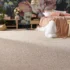 Bedroom Carpet