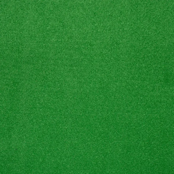 Light Green Outdoor Carpet - Image 3