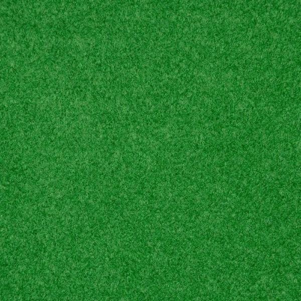Light Green Outdoor Carpet - Image 4