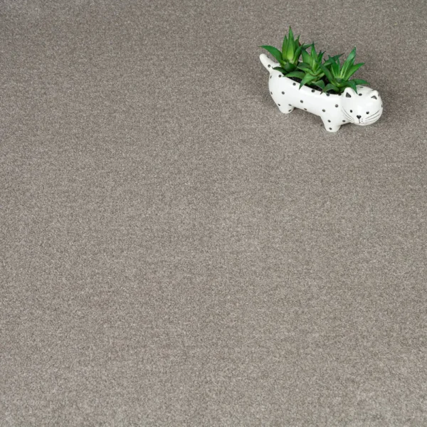 iSense Obsession Bedroom Carpet - Image 5