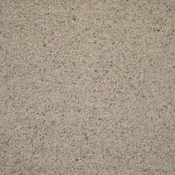 Natural Berber Twist Deluxe Living Room Carpet - Image 4