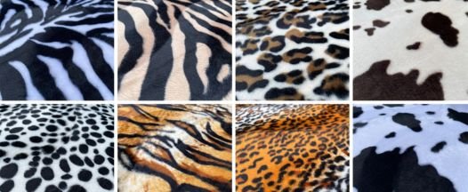 Animals Carpets Samples