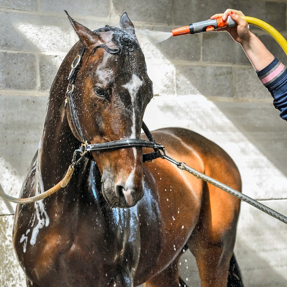 Wash Hollow Rubber Dtable Mats - Image 2